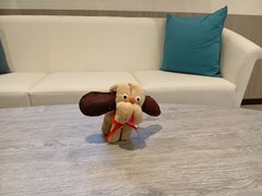 タオルワンちゃん