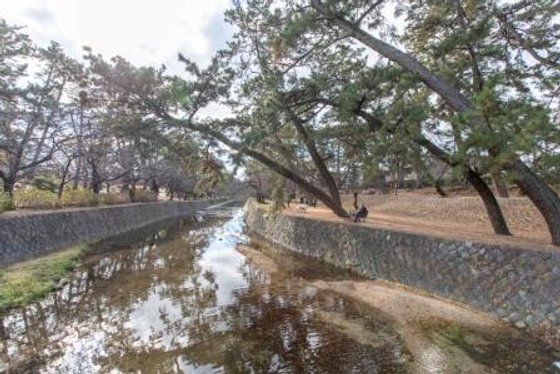 グランドマスト西宮苦楽園