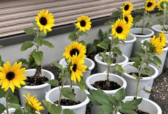 ケアハウスみやき