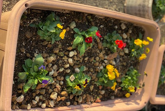 ケアハウスみやき