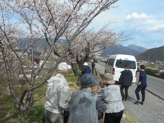 オーチャード開智