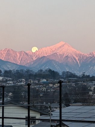 オーチャード開智