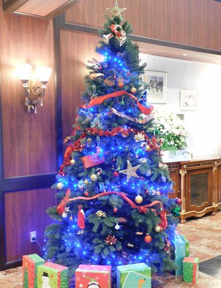 オーチャード開智