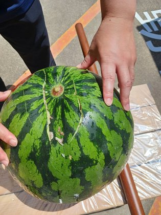 ユアサイド忠岡South・North