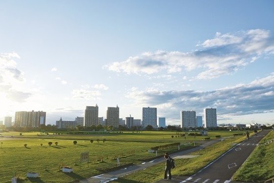 アイビーコート