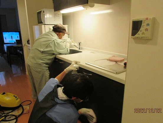 アイビーコート