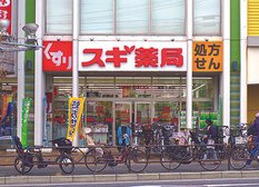 ドラックストア スギ薬局