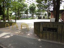 皆さんが散歩に行かれている『蓮根三丁目公園』