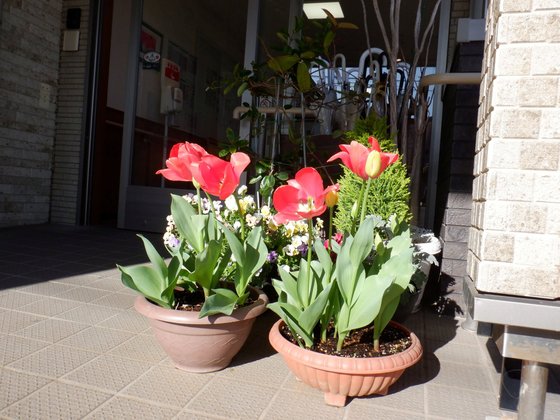 ローゼンホーム上山1号館
