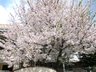 ローゼンホーム上山 2号館