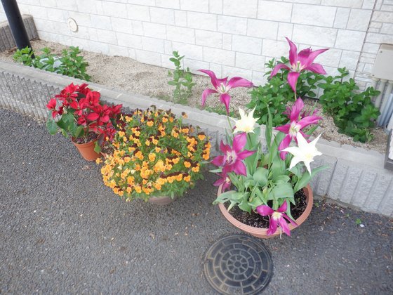 ローゼンホーム上山 2号館