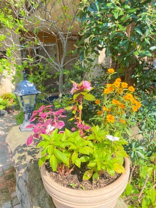 エルケアホームガーデン長居公園