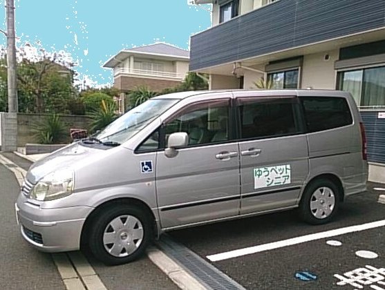 ゆうペットシニア