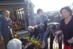 さつまいも収穫!