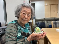 色とりどりの小鳥たち🐤