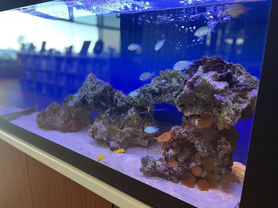 葉山 うみのホテル サービスレジデンス