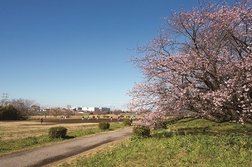 多摩川(徒歩4分)