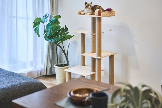 グランジュール吉祥寺南