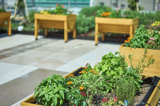 グランジュール吉祥寺南