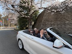 お花見はオープンカーで