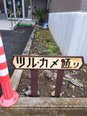施設敷地内にある遊歩道です