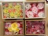 ガーデンホームなごみ東花園