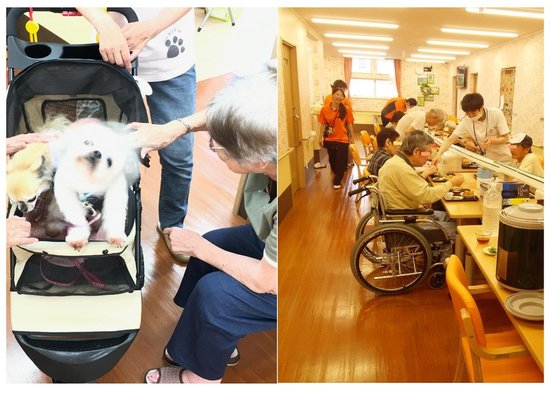 なごみの家川田