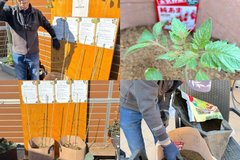 実りの喜びを分かち合う、かわだファームが始動しました!