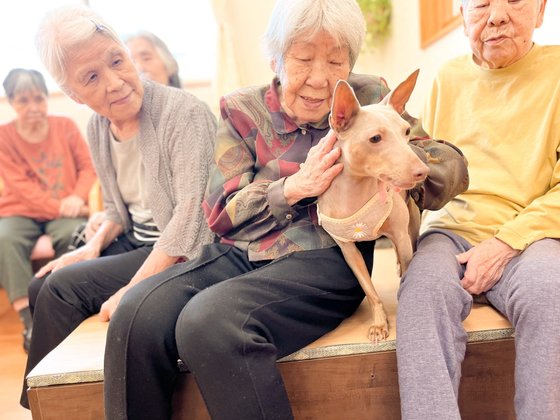 なごみの家瓢箪山