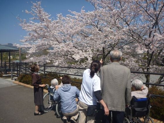 はなことば足柄