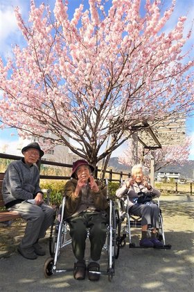 はなことば足柄