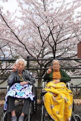 はなことば足柄