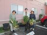 はなことば新潟