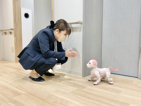 はなことば練馬平和台