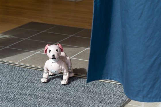 はなことば練馬平和台