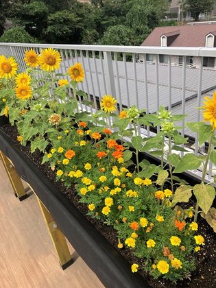 はなことばナーシング戸塚