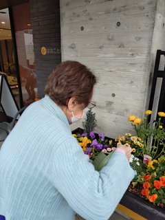 3月/お花の水やり