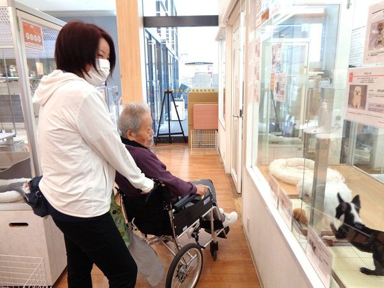 はなことば入間藤沢