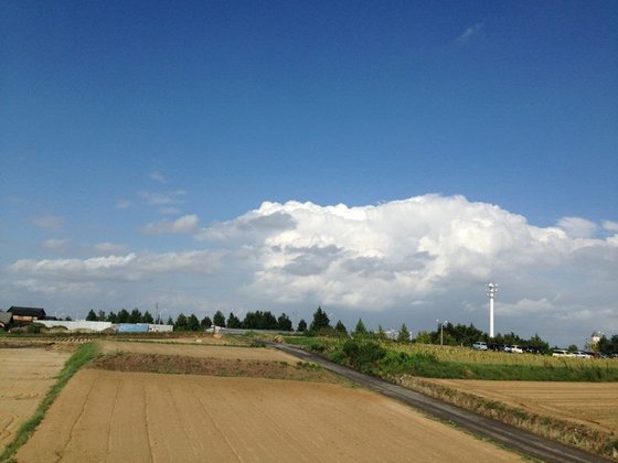 フラワーサーチ大府