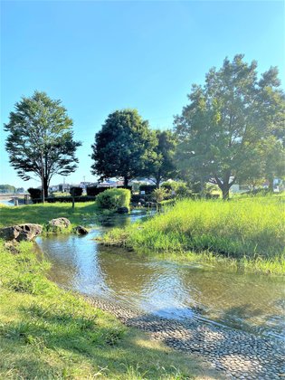 ご隠居長屋和楽久豊四季