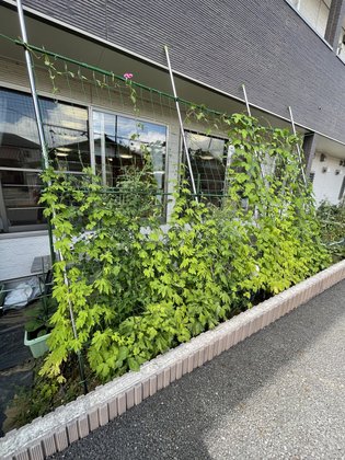 ご隠居長屋和楽久布佐