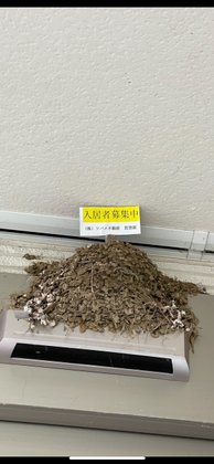 ご隠居長屋和楽久布佐