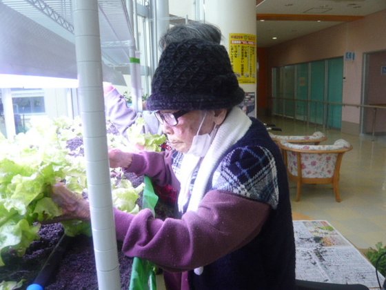 風花苑