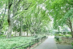 砧公園