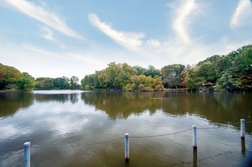 東京都立善福寺公園