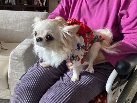 ソナーレ目白御留山