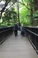 日課を大切に。お留山公園への清々しいお散歩タイム!