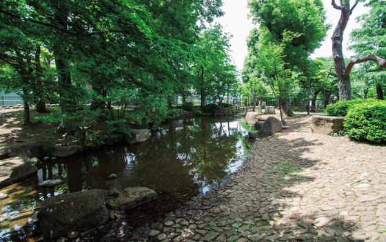 ソナーレ駒沢公園