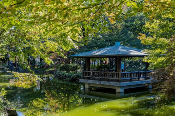 ソナーレ杉並上井草