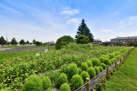 ソナーレ・アテリア久我山